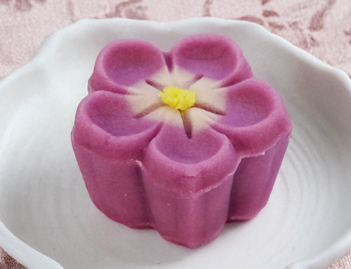 桔梗(ききょう)