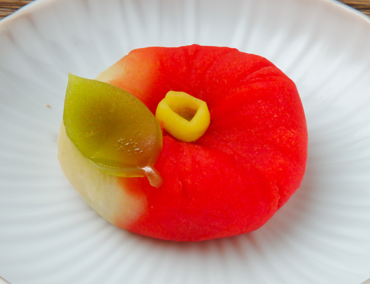 寒椿(かんつばき)