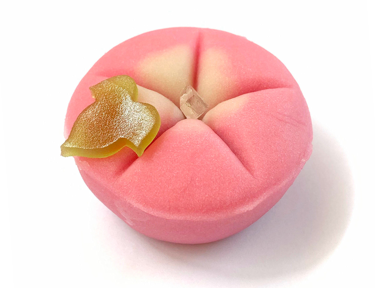 朝顔向(あさがお)