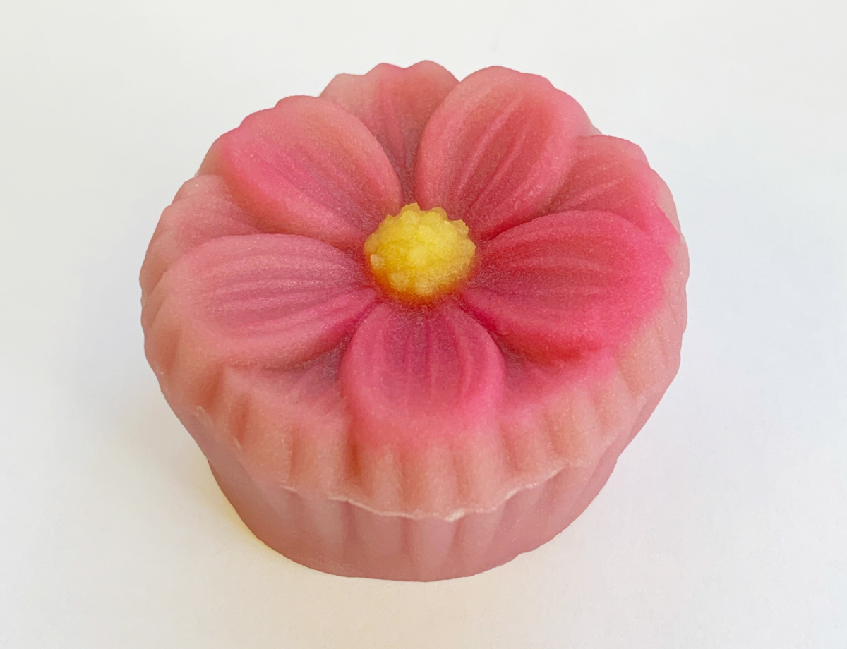 秋桜赤(こすもす)