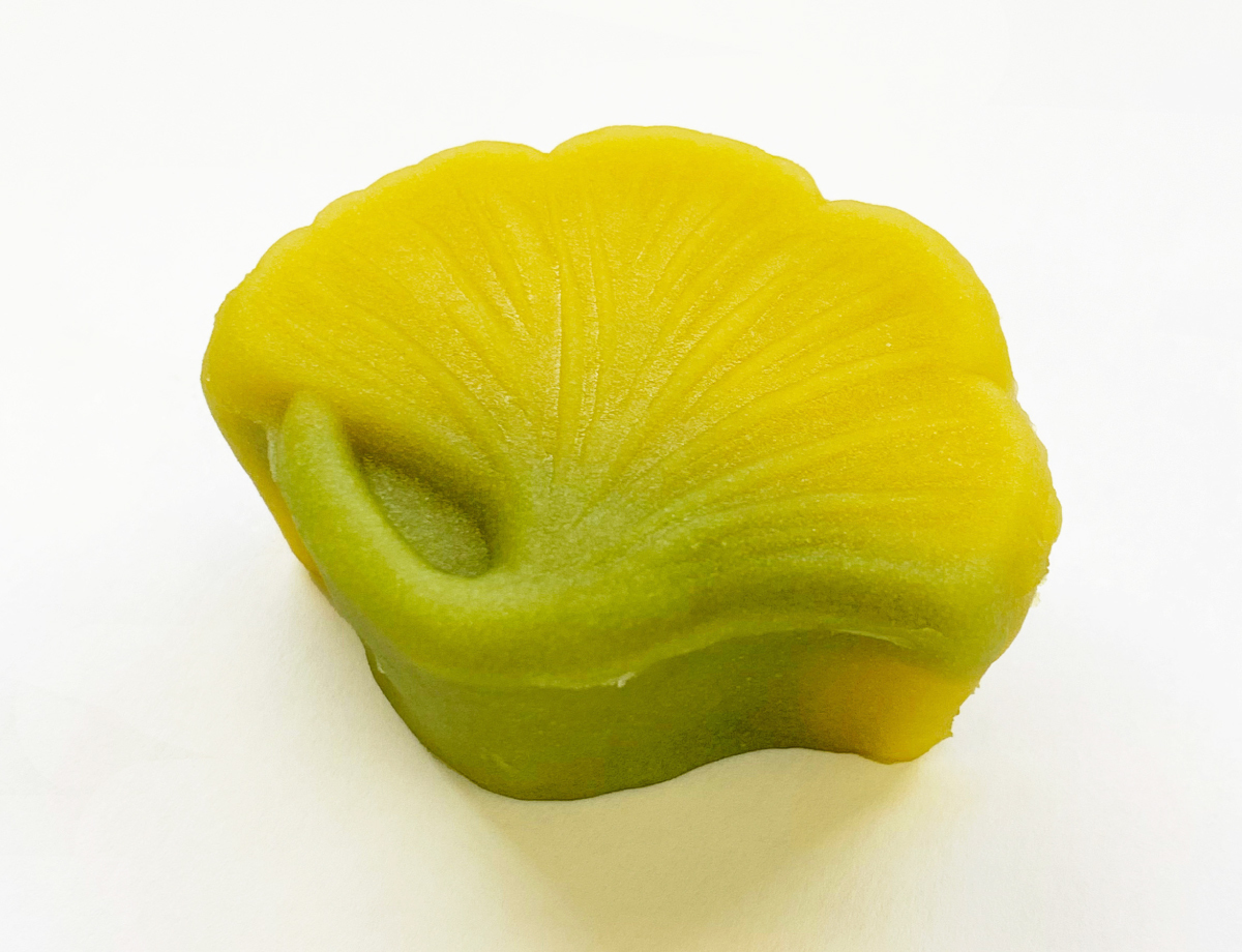 銀杏(いちょう)