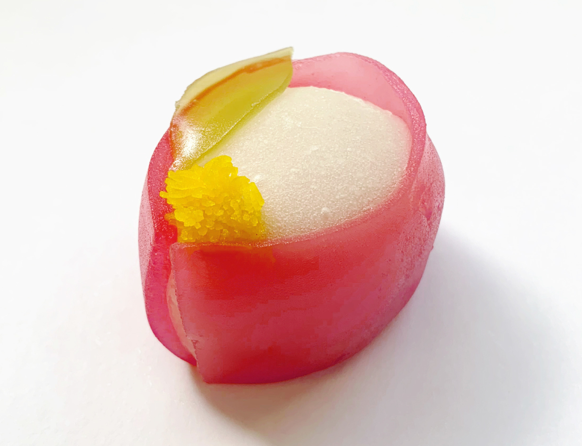 山茶花(さざんか)